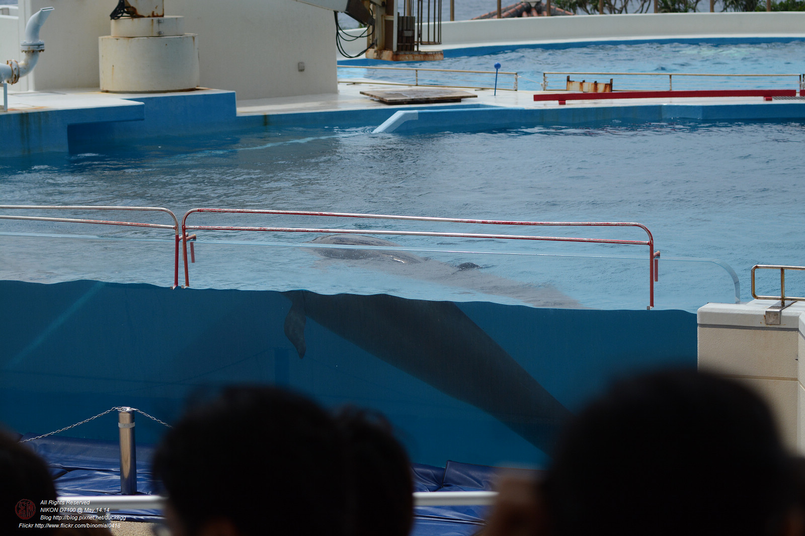 DSC_2972.jpg